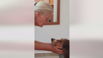 Μια ζεστή αγκαλιά για τη σκυλίτσα που είχαν πυροβολήσει στο Βάμο - Δείτε βίντεο