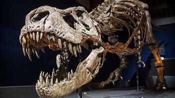 Φανταστείτε έναν δεινόσαυρο 50 τόνων να βήχει και να φταρνίζεται! 
