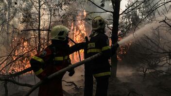 Πρόσληψη 500 πυροσβεστών δασικών επιχειρήσεων