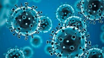 Koρωνοϊός: Πώς δρα ο ιός όταν εισέλθει στα κύτταρα 
