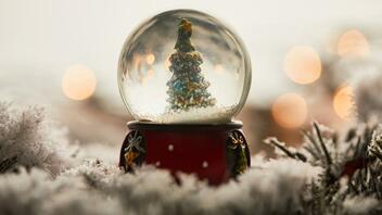 Φωταγωγείται το χριστουγεννιάτικο δέντρο, στο Αρκαλοχώρι