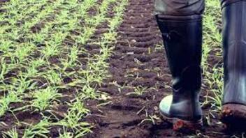 Βουλευτές ΚΚΕ: Να επιστραφούν οι αχρεωστήτως καταβληθείσες εισφορές στους δικαιούχους αγρότες