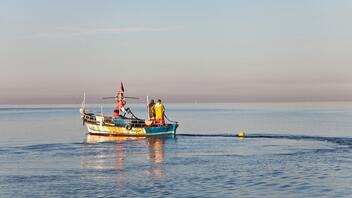 Αποζημιώνονται 329 ψαράδες με απόφαση του Υπουργείου Αγροτικής Ανάπτυξης
