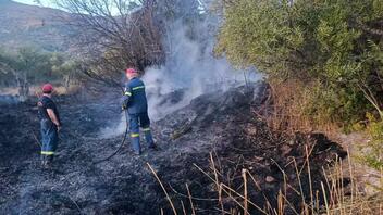 Δεκάδες στρέμματα έγιναν στάχτη από τις φωτιές σε Βιάννο και Σητεία