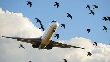 Για την ασφάλεια των πτήσεων στο νέο διεθνές αεροδρόμιο Καστελλίου