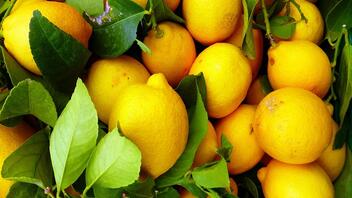 5 τρόποι για να καθαρίσετε την κουζίνα σας με χυμό λεμονιού