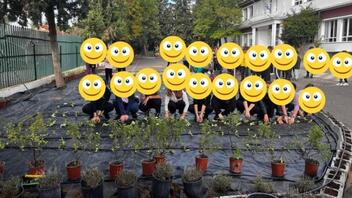 Μαθητές και γονείς καλλιεργούν έναν από τους μεγαλύτερους σχολικούς αρωματολαχανόκηπους