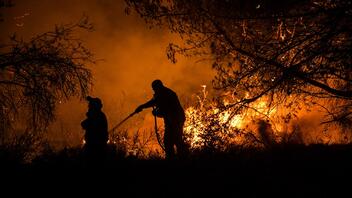 Χιλή: Τουλάχιστον 64 οι νεκροί στις πυρκαγιές