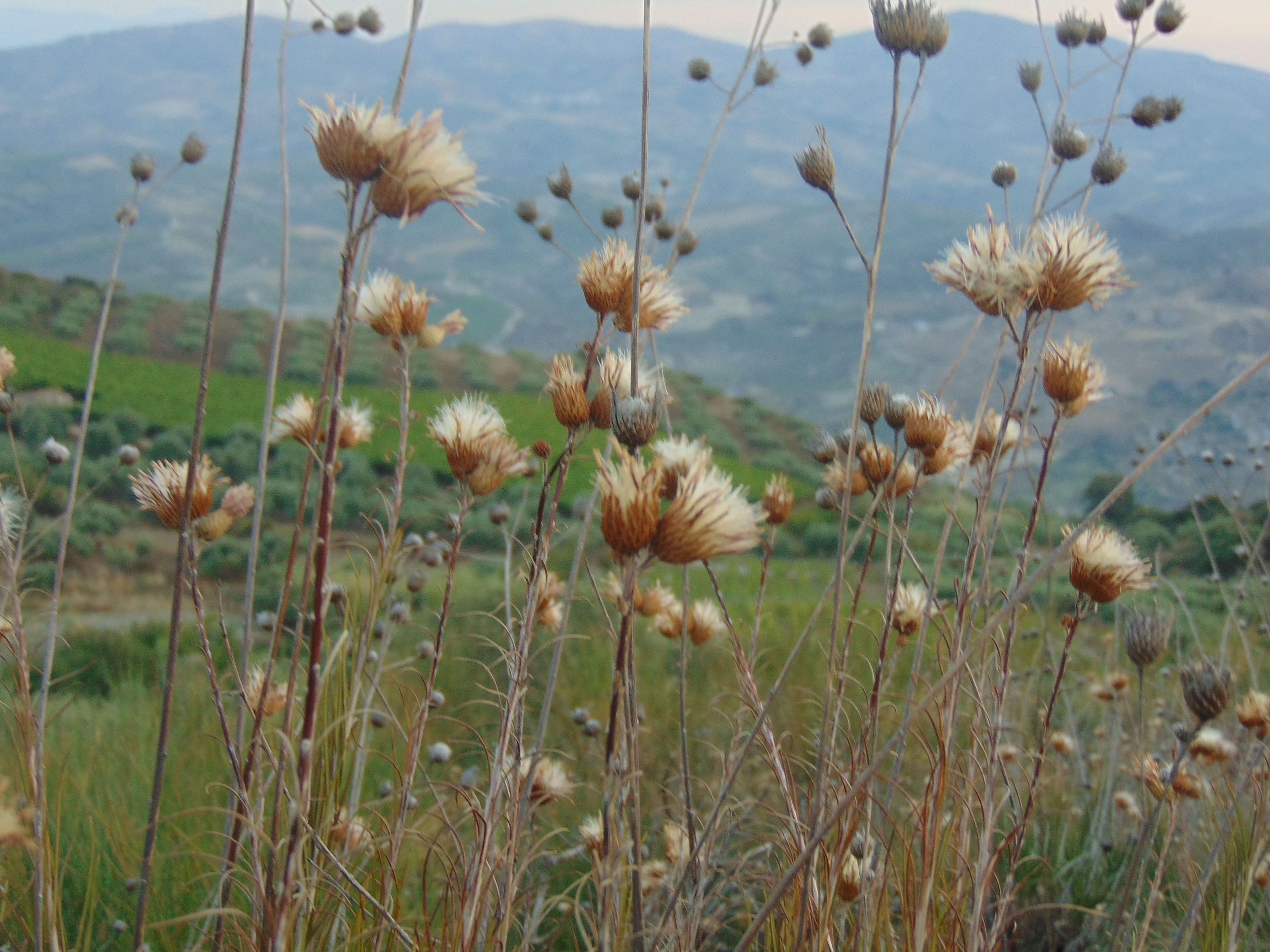 Ιούλιος Μπετεινάκη Καλοκαίρι