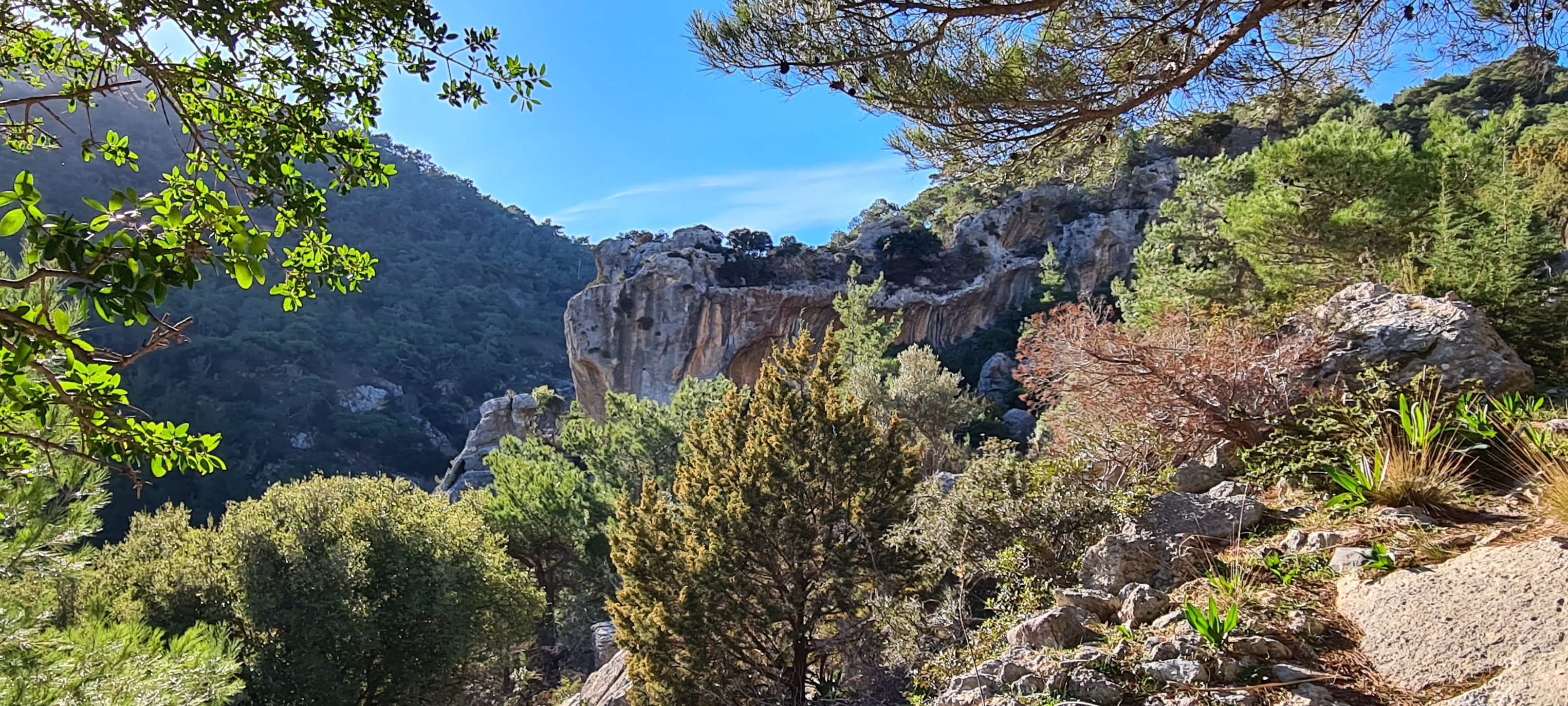 Ορειβατικός Σύλλογος Αγίου Νικολάου εξόρμηση Μονοπάτι