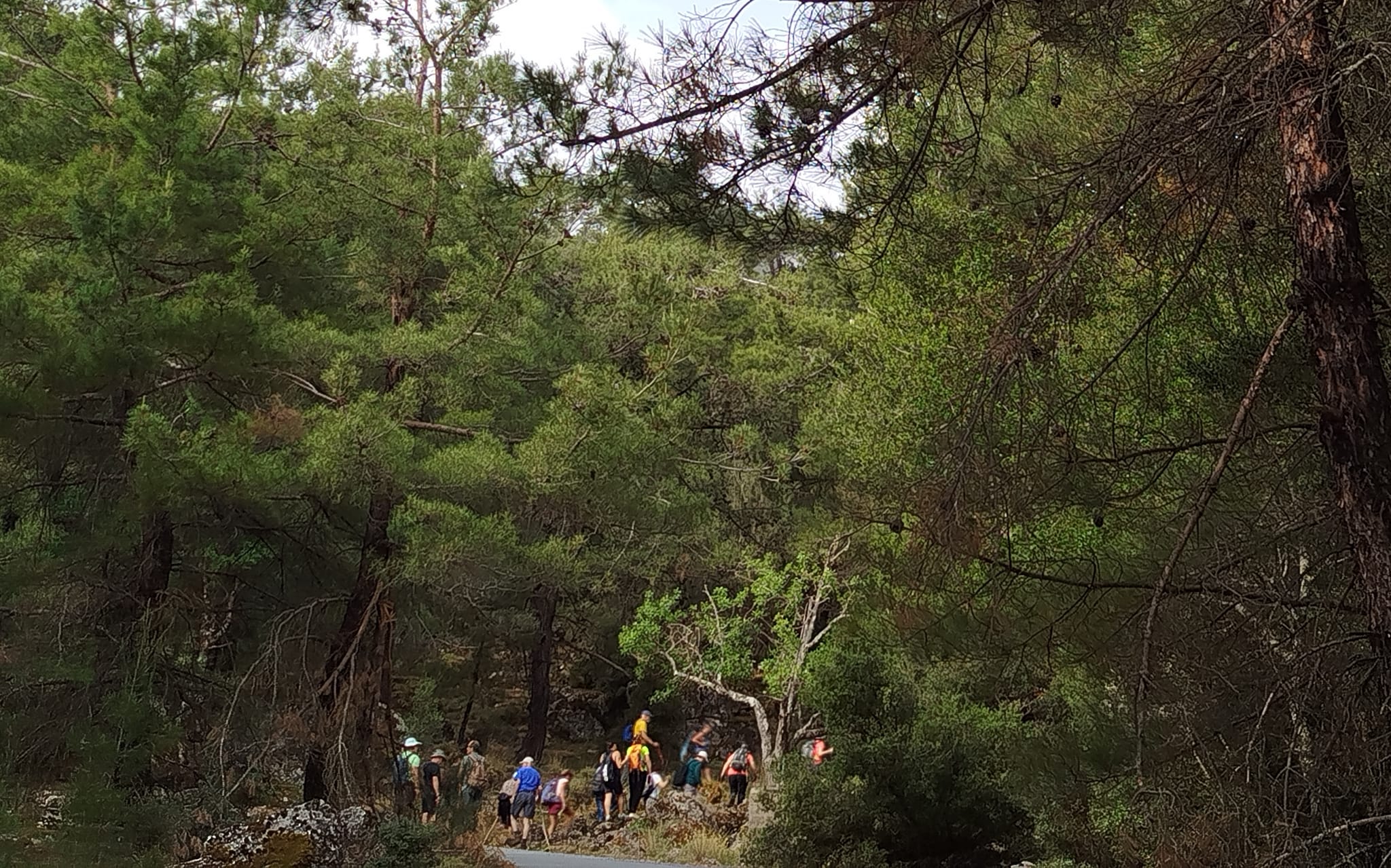 Στο δάσος του Κρούστα πεζοπόρησε ο Ορειβατικός Σύλλογος Αγίου Νικολάου