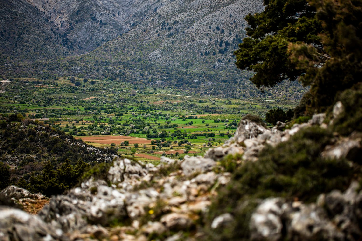 Παρουσιάστηκε το Δίκτυο Πεζοπορικών Διαδρομών Δήμου Πλατανιά