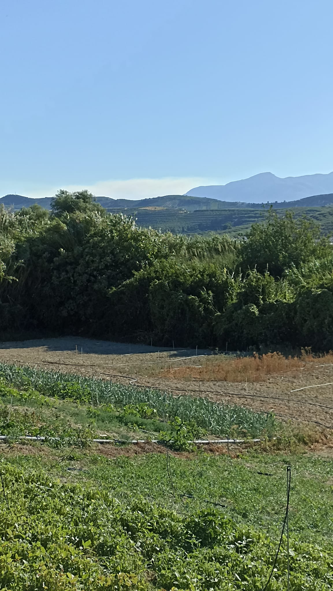 Στο βάθος καπνός από φωτιά 