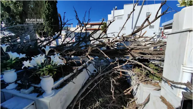  Μεγάλες ζημιές στο κοιμητήριο του Άργους - Δέντρα έπεσαν πάνω σε μνήματα