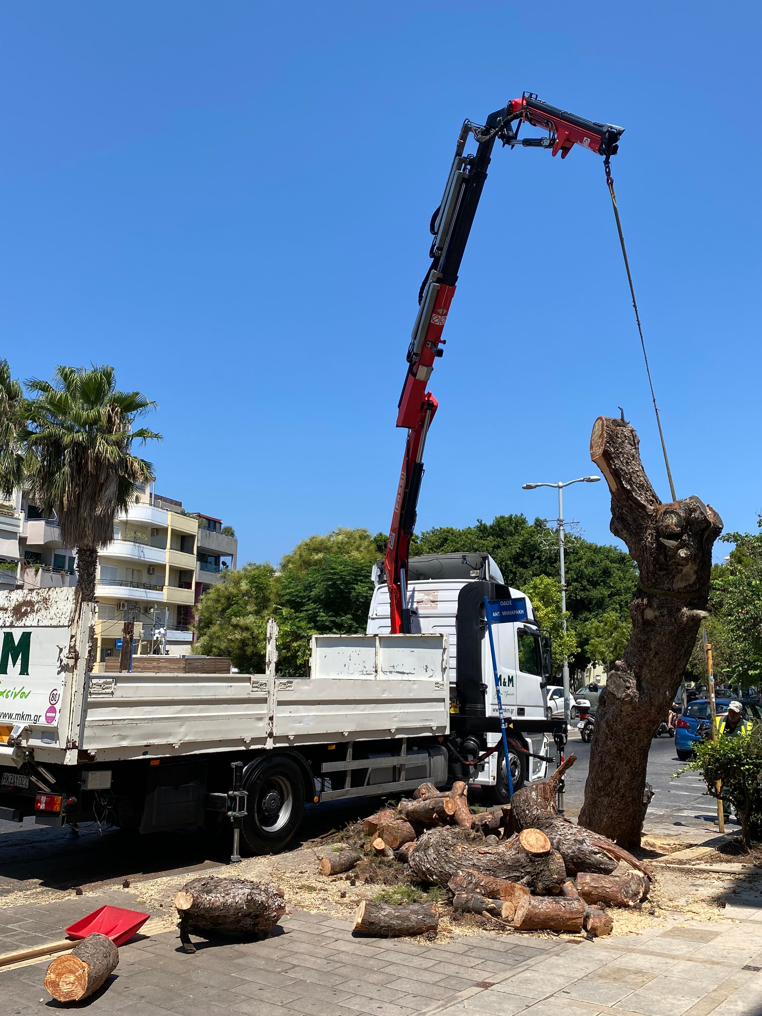 ΔΕΝΤΡΟ ΠΟΥ ΚΟΒΕΤΑΙ 