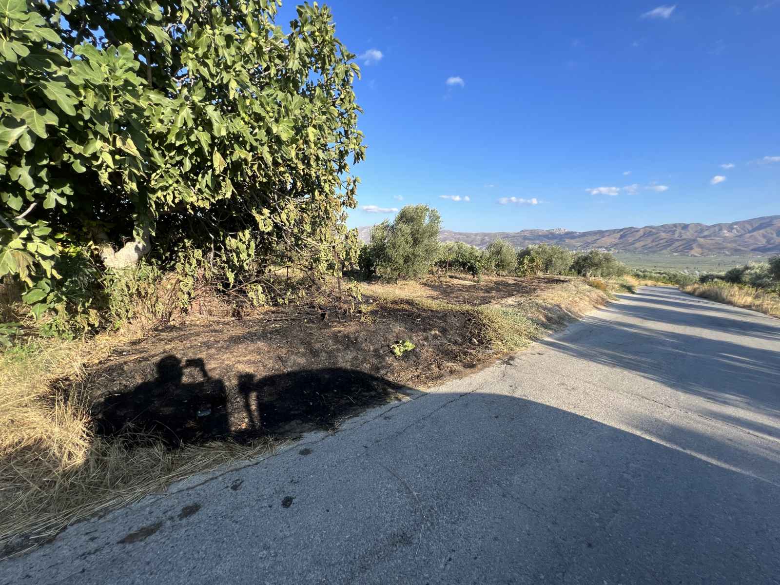 φωτιά Φαραγγιανά Γόρτυνα Ηράκλειο Σύλληψη εμπρησμός 