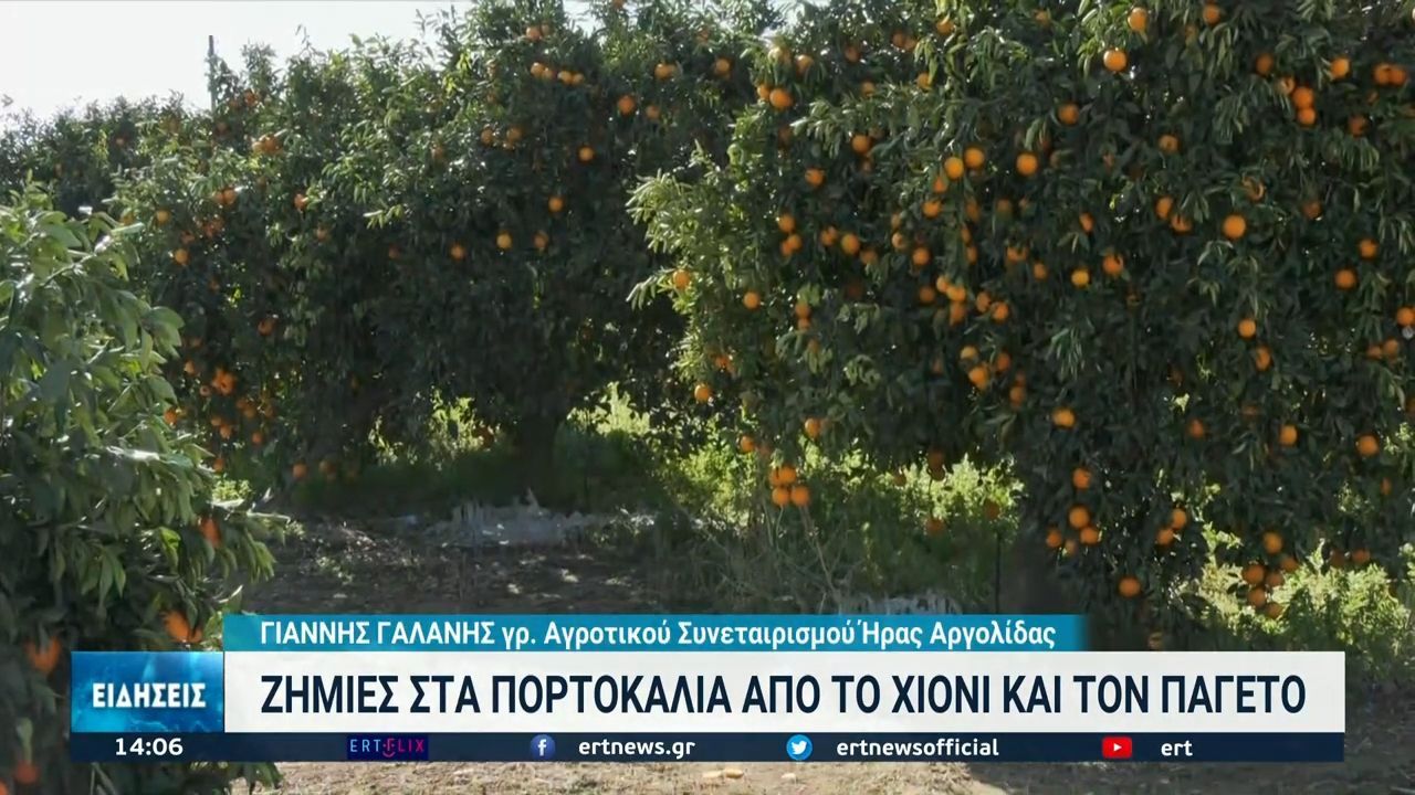 πορτοκάλια