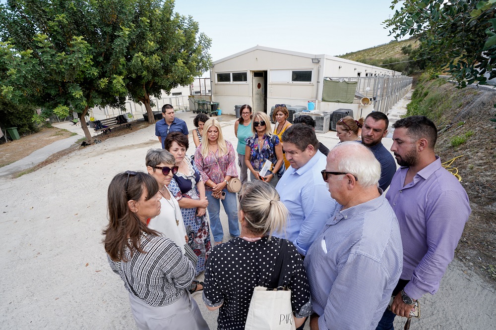 Καραμαλάκης αδέσποτα