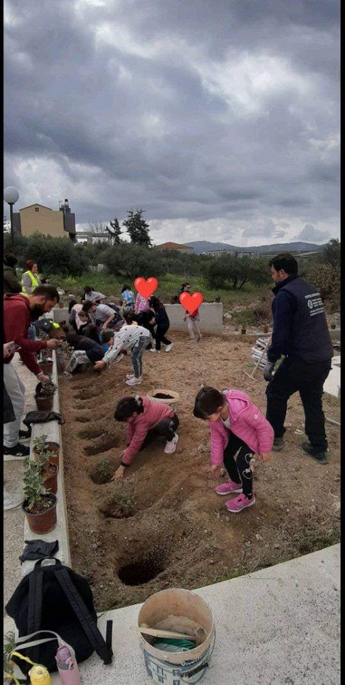 Κουνάβοι δεντροφύτευση