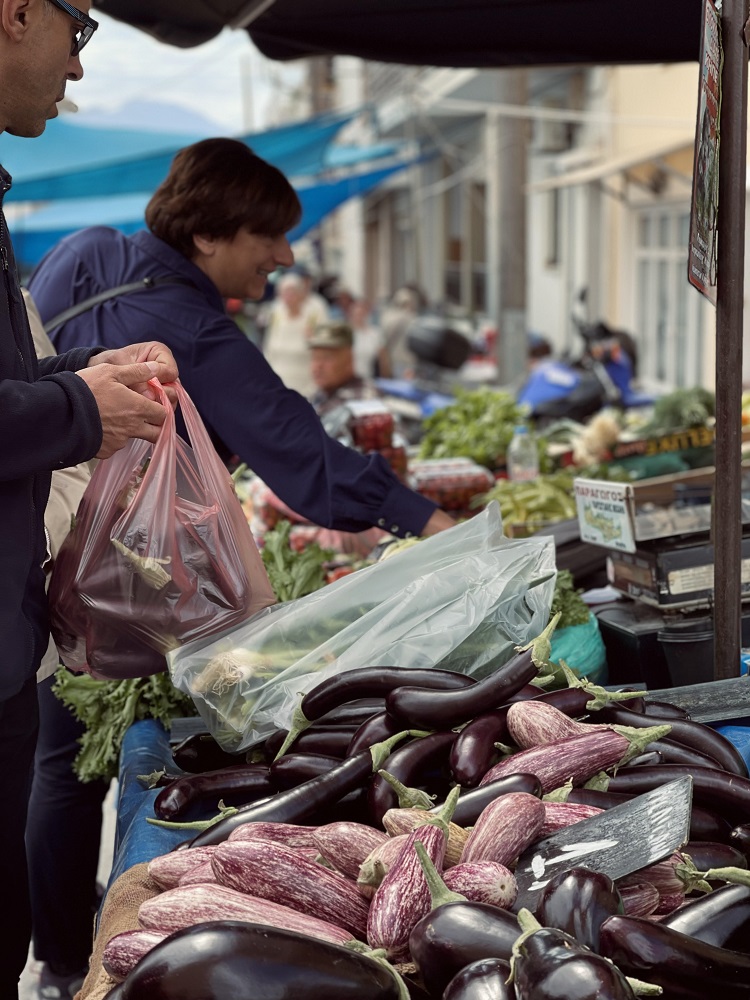 Πελαγία Πετράκη περιοδεία