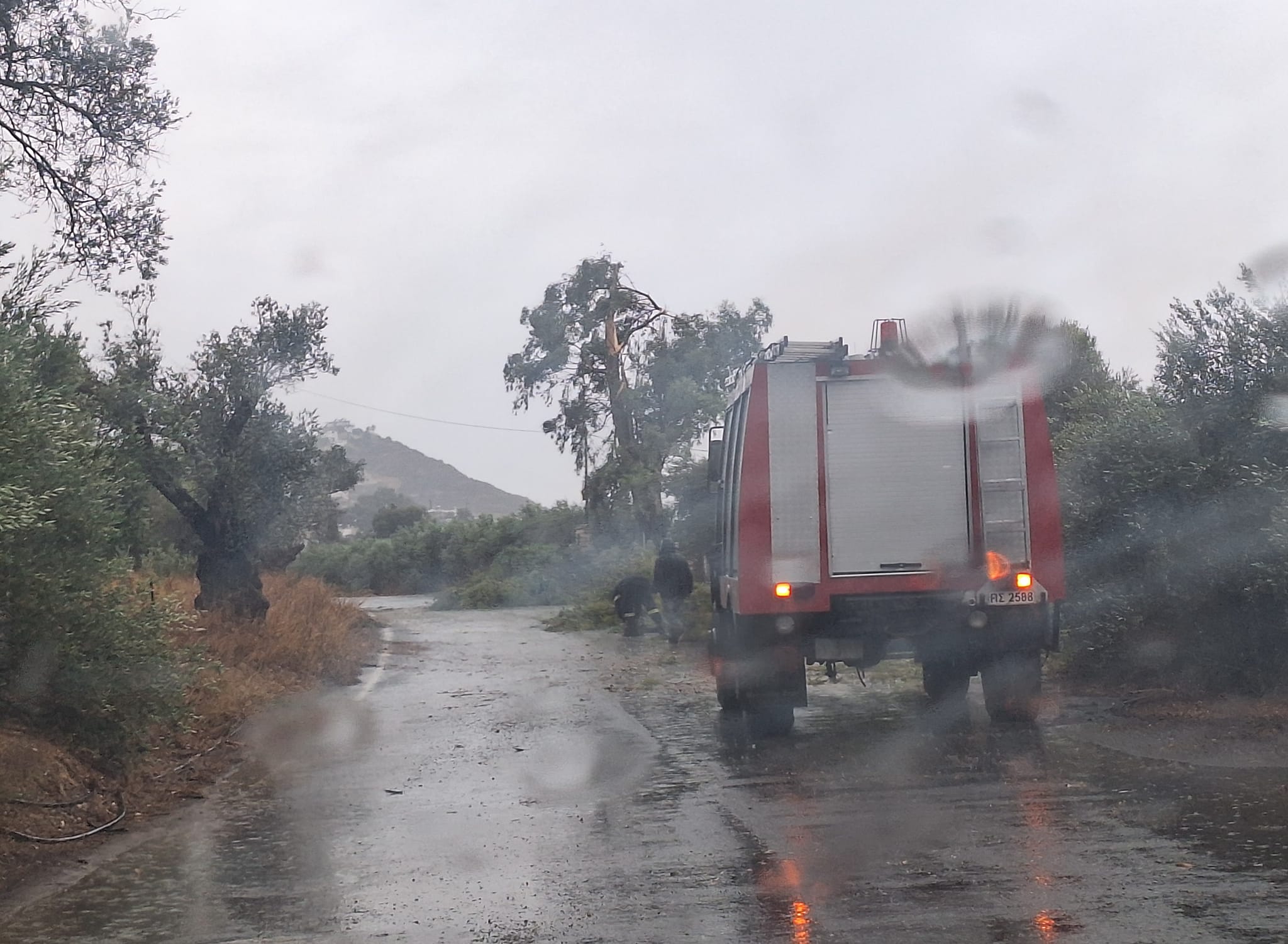 πτώση - δέντρο