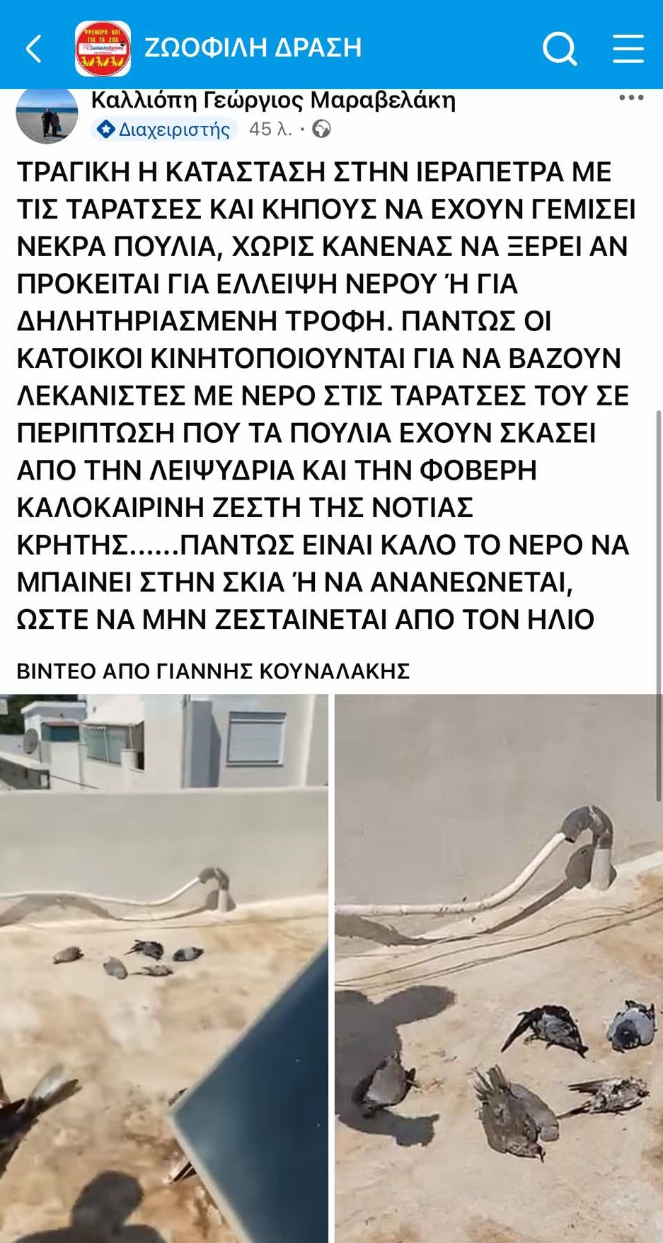 Ζωόφιλη δράση