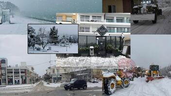 Στα Λευκά ντύθηκε ολόκληρη η Εύβοια: Κάτασπρη η παραλία της Χαλκίδας από το χιόνι 