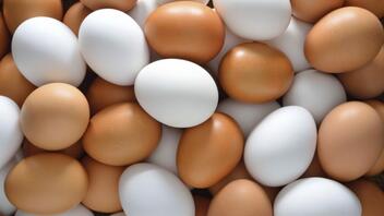 Βραστά αυγά vs ομελέτα: Ποιο πιάτο είναι πιο υγιεινό; – Η διατροφική σύγκριση