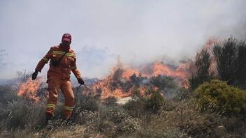  Φωτιά στο Νταού Πεντέλης – Τέθηκε άμεσα υπό έλεγχο