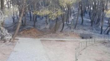 Εφορεία Αρχαιοτήτων Αχαΐας: «Καμία φθορά στο μυκηναϊκό νεκροταφείο στις Πόρτες από τη φωτιά»