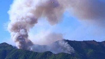 Θάσος: Υπό πλήρη έλεγχο η φωτιά που ξέσπασε στο νησί