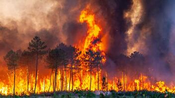Γαλλία: Πυρκαγιά κατέκαψε 13.000 στρέμματα στο νοτιοδυτικό τμήμα της χώρας	