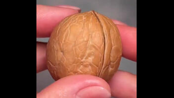 Ξυλογλυπτική: Τι μπορεί να «χωρέσει» μέσα σε ένα καρύδι