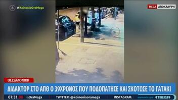 Θεσσαλονίκη: Διδάκτωρ στο ΑΠΘ ο 39χρονος που ποδοπάτησε μέχρι θανάτου το γατάκι