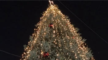 Χαλκιδική: Φωταγωγήθηκε με 85.000 λαμπιόνια το πρώτο χριστουγεννιάτικο δέντρο για φέτος 