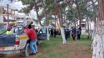 Ξεσηκώθηκαν οι κάτοικοι στα Δειλινά για τις κοπές των δέντρων