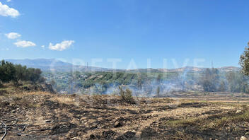 Υπό μερικό έλεγχο η φωτιά ανάμεσα σε Λούρες και Διονύσι - "Μάχη" με τις φλόγες δίνουν οι πυροσβέστες
