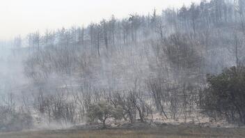 Γ. Αρτόποιος: Ισχυρό το μέτωπο στον Έβρο – Αντιμετωπίσαμε περισσότερες από 600 πυρκαγιές