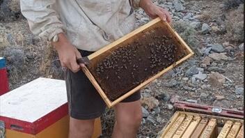"Φρένο" στους μελισσοκόμους μπροστά στον κίνδυνο πυρκαγιάς