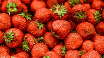 Πώς να διατηρήσετε φρέσκες τις φράουλες για περισσότερο καιρό