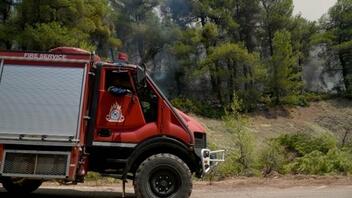 Πυροσβεστική: Τρεις συλλήψεις για πυρκαγιές σε Σαλαμίνα, Ραφήνα και Πόρο