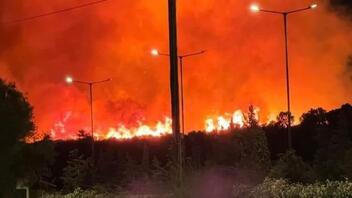 Δήμαρχος Λαυρεωτικής για τη φωτιά στην Κερατέα: "Οι κάτοικοι άκουσαν έκρηξη"