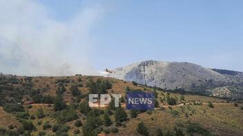 Χίος: Στάχτη 270 στρέμματα έκτασης από την μεγάλη πυρκαγιά στις Καρυές