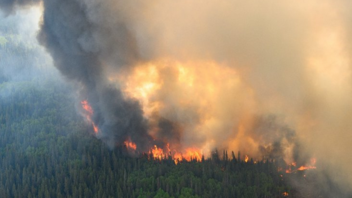 Καναδάς: Εκκένωση φυλακής υψίστης ασφαλείας λόγω δασικών πυρκαγιών