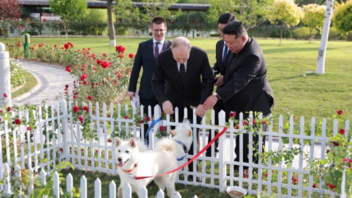 Ένα ζευγάρι σκύλους Πουνγκσάν χάρισε ο Κιμ Γιονγκ Ουν στον Πούτιν 