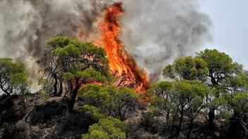 Μεγάλη πυρκαγιά σε γεωργική έκταση στην Αλίαρτο Βοιωτίας - Ενεργοποιήθηκε το 112
