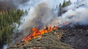 Πυρκαγιά σε δασική έκταση στις Σέρρες - Στη μάχη με τις φλόγες και εναέρια μέσα