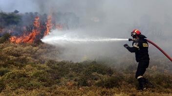 Συναγερμός στη Μυτιλήνη για φωτιά σε δασική έκταση