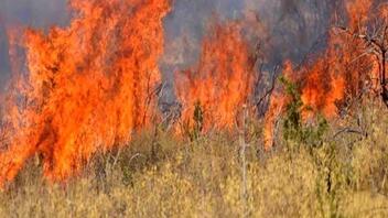Πυρκαγιά στον Διόνυσο - Εστίες και σε Μαραθώνα και Χαλάνδρι