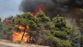 Χαλκίδα: Πυρκαγιά στο Καλοχώρι Αυλίδας - Ρίψεις από εναέρια μέσα 